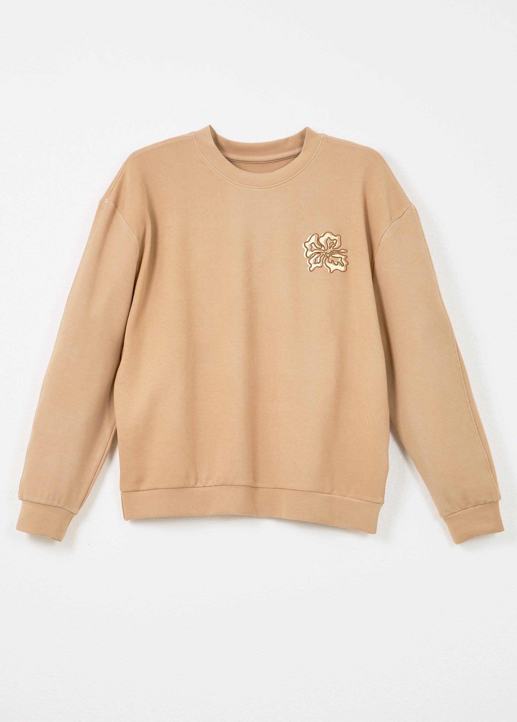 Embroidered_fleece_box_volume_sweatshirt_with_shiny_detail_Hazelnut_AP1_slim