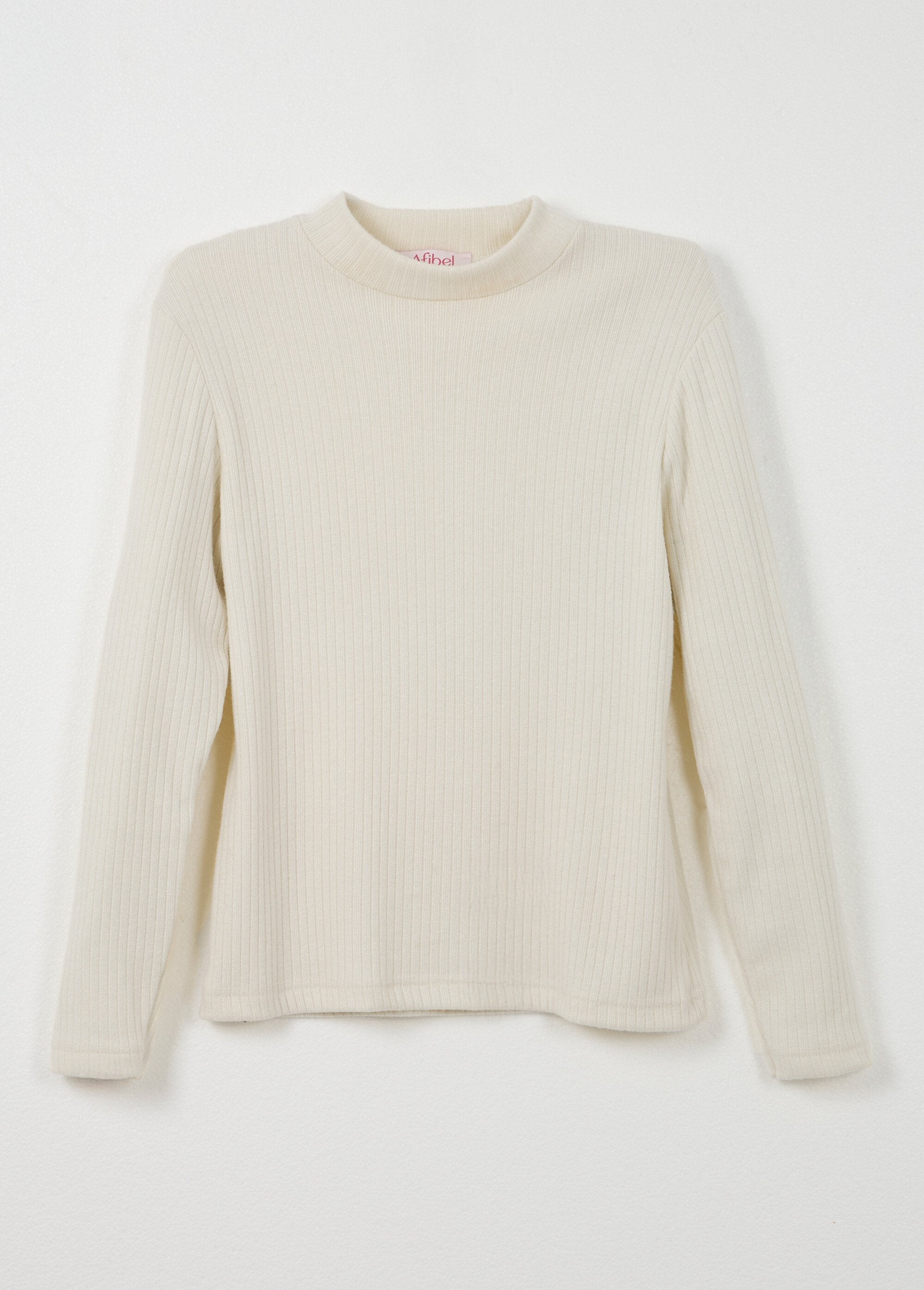 Ribbed_knit_long-sleeved_high-neck_T-shirt_Ecru_AP1_slim